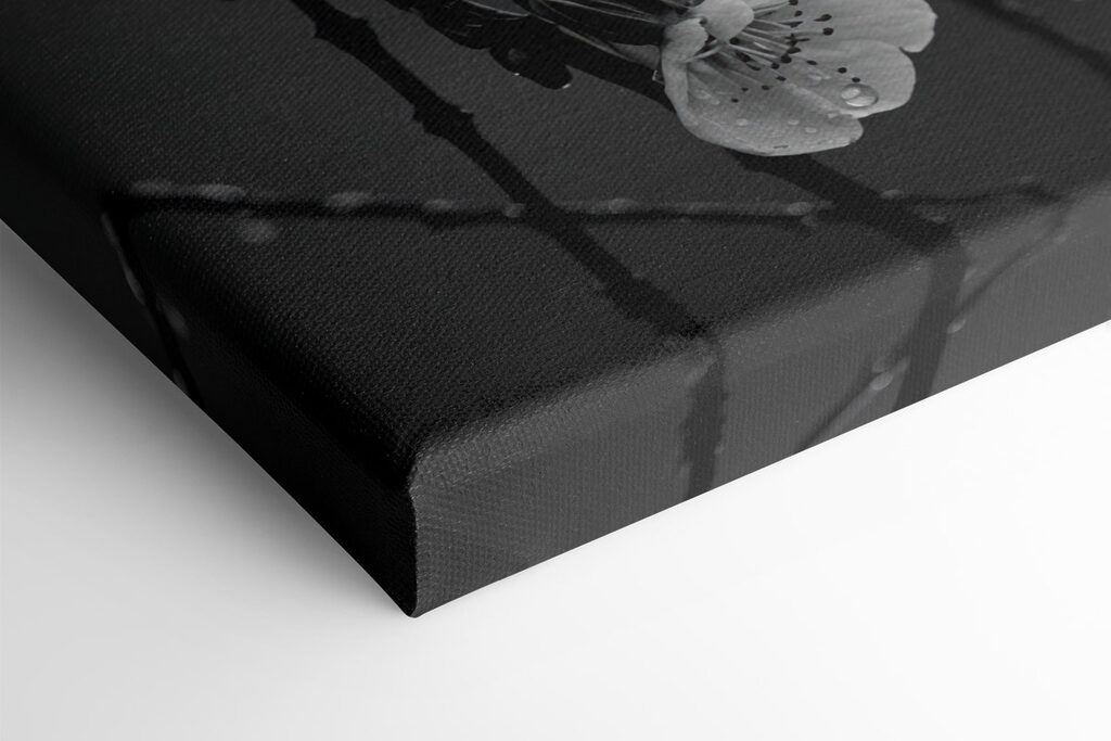 Delicate blooms beneath gentle rain Delicate blooms beneath gentle rain