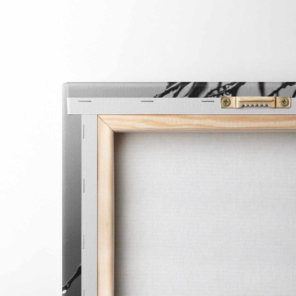 Delicate blooms beneath gentle rain Delicate blooms beneath gentle rain