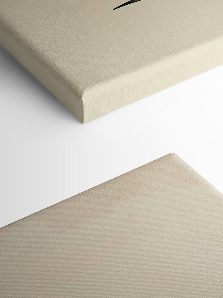 Black cat with whiskers