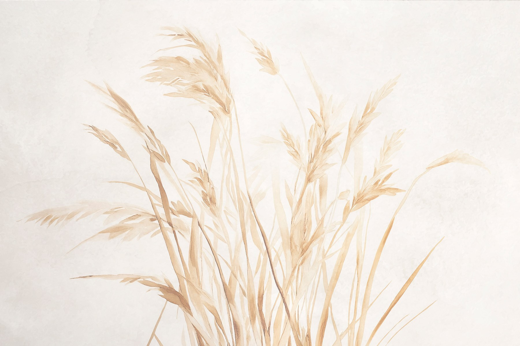 Delicate grasses against a soft background