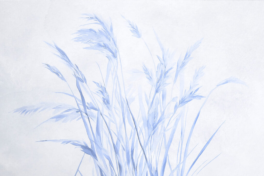 Delikatne trawy w łagodnych odcieniach. Delikatne trawy w łagodnych odcieniach.