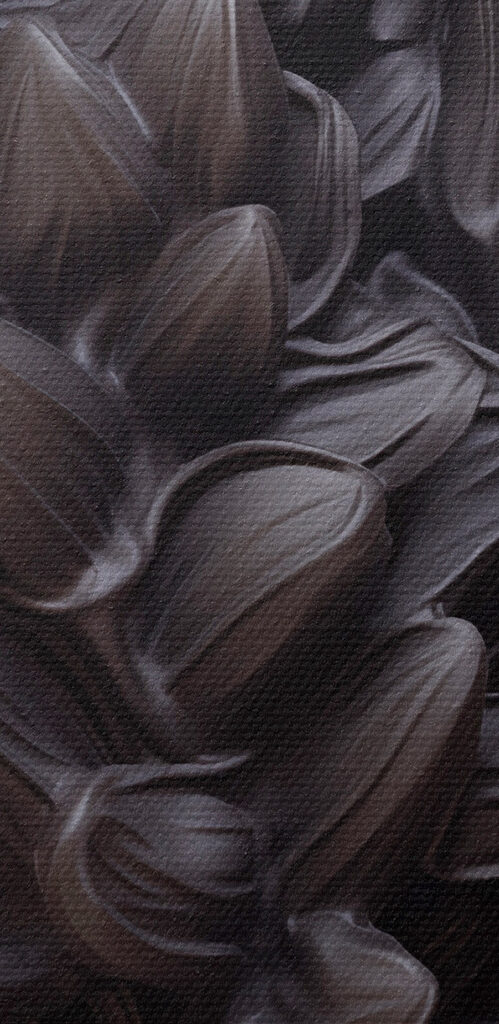 Blooming beauty against a dark backdrop