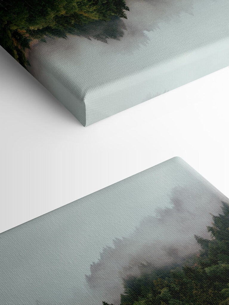 A reflection of trees in the water