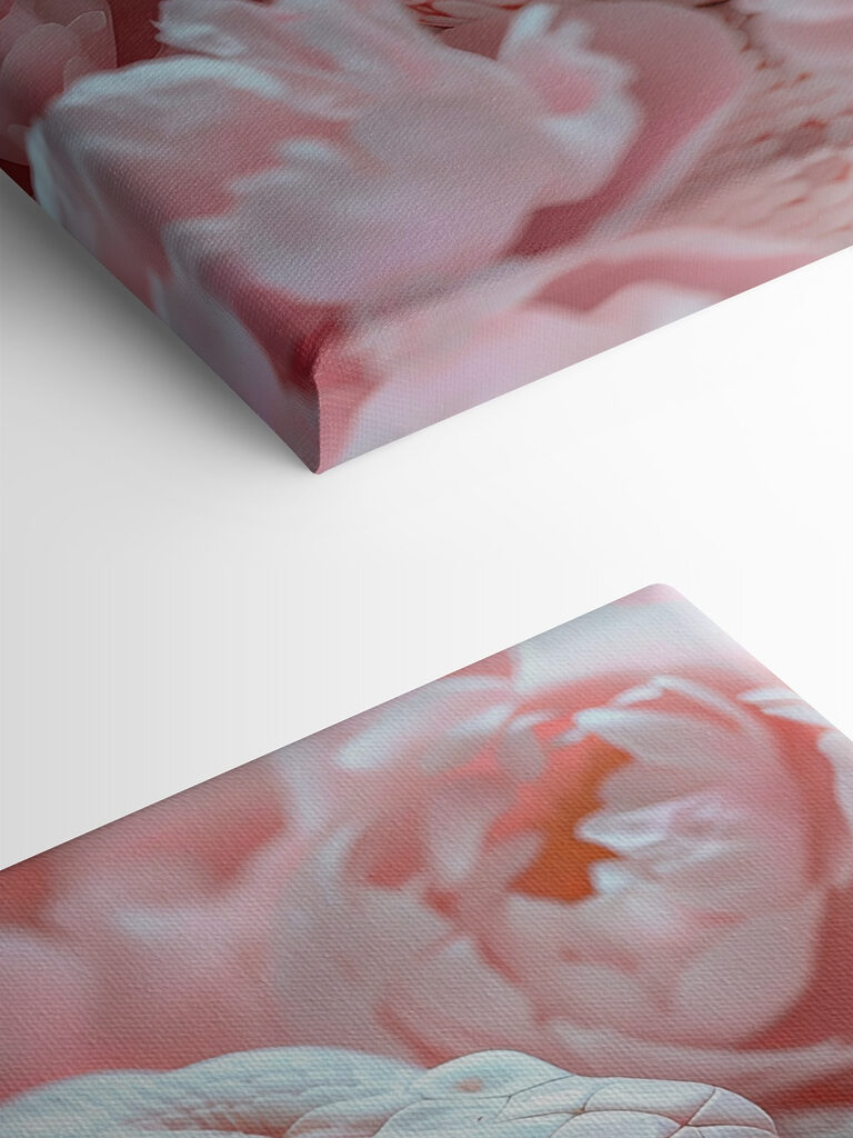 White snake in pink flowers White snake in pink flowers