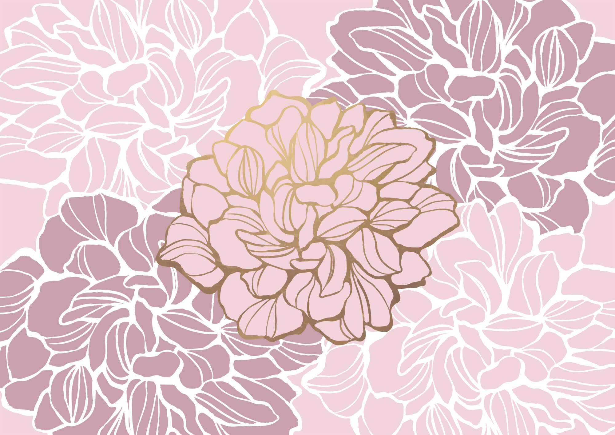 t00003v1p - Różowy i biały kwiat - tegory