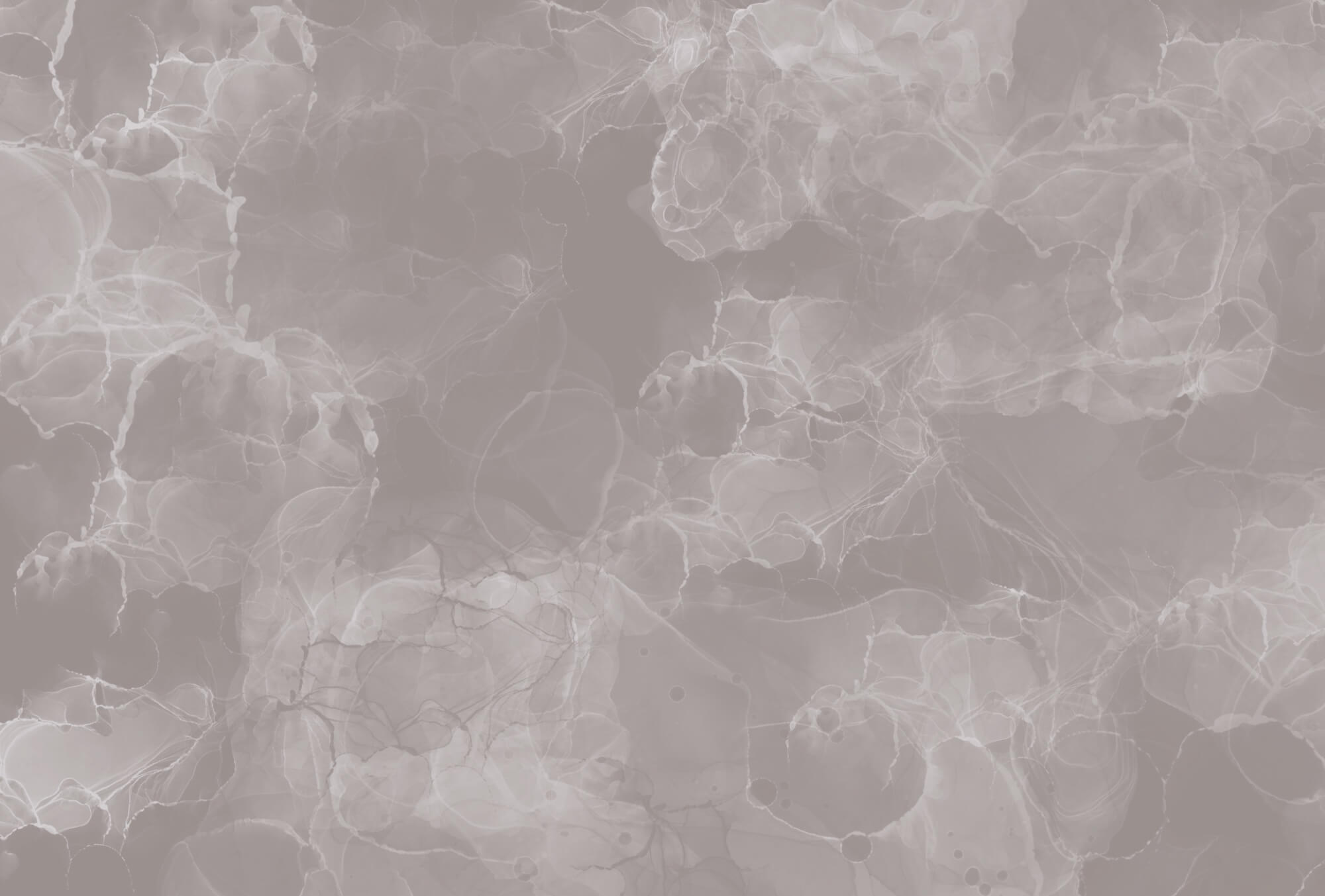 Grey and white background