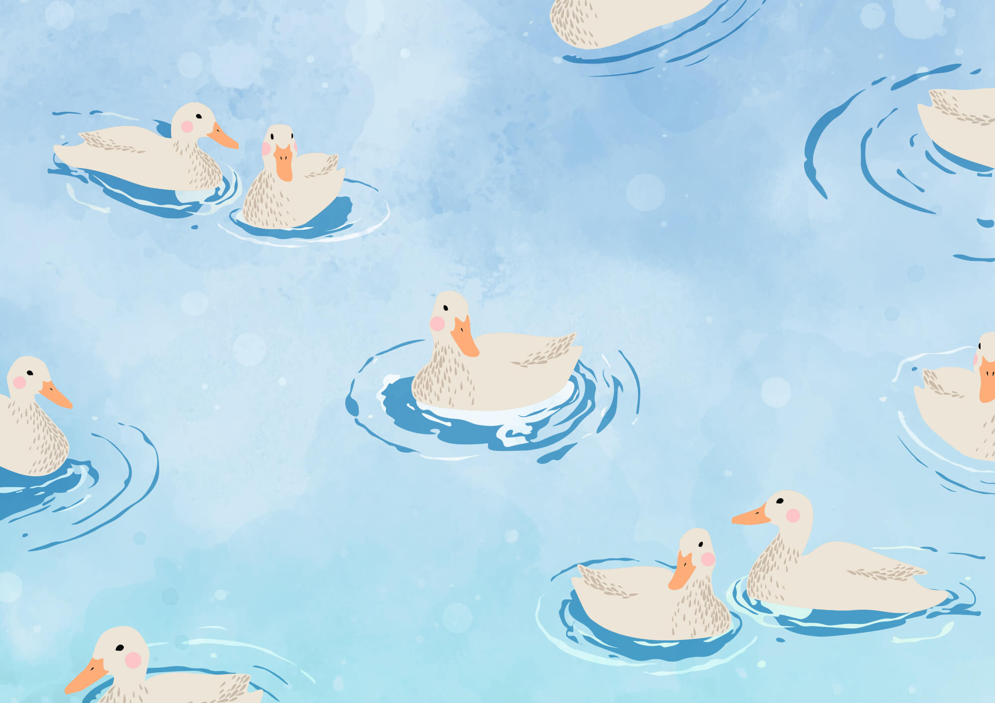 Group of ducks swimming in water