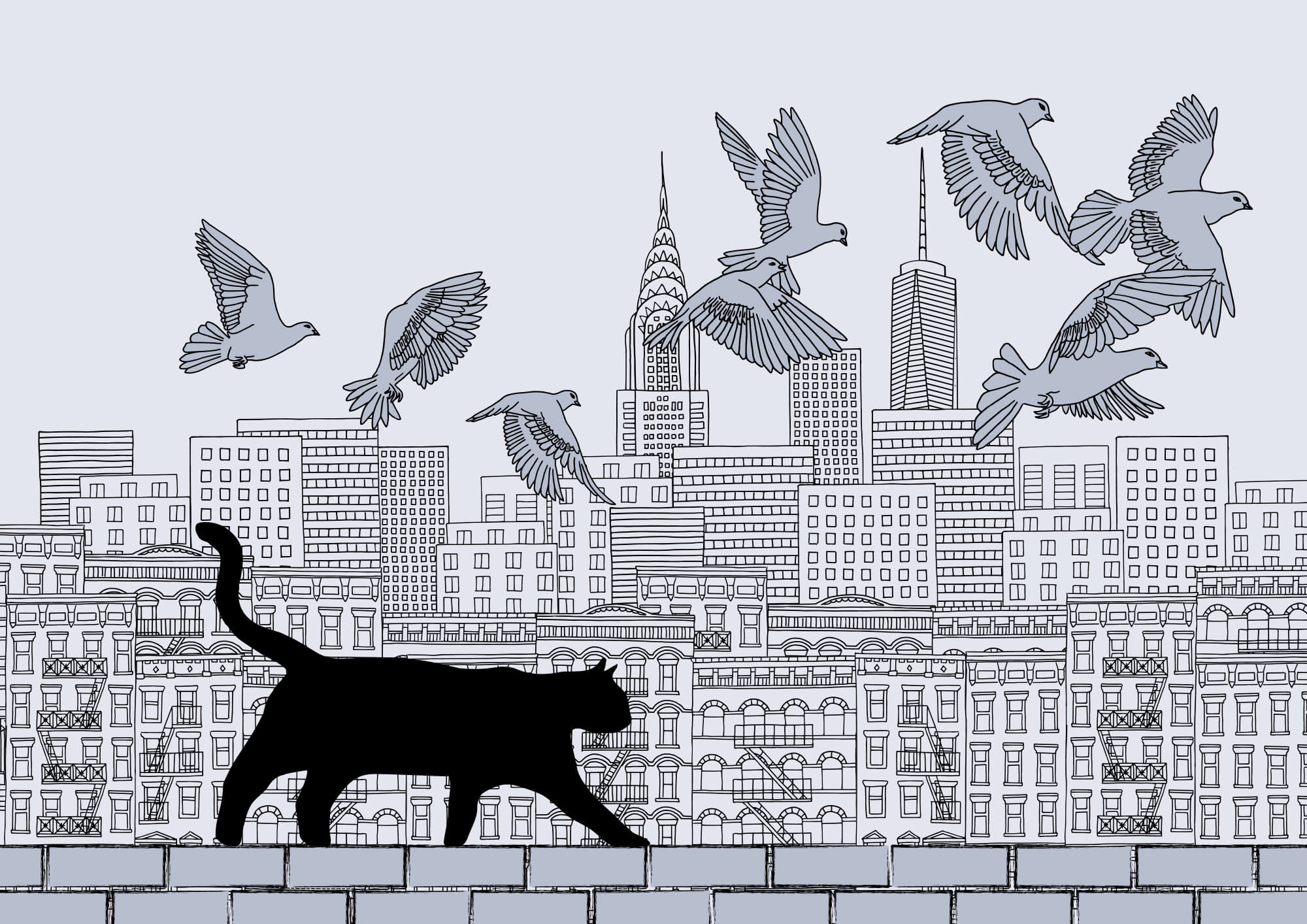 Cat walking on a wall with birds flying in the sky