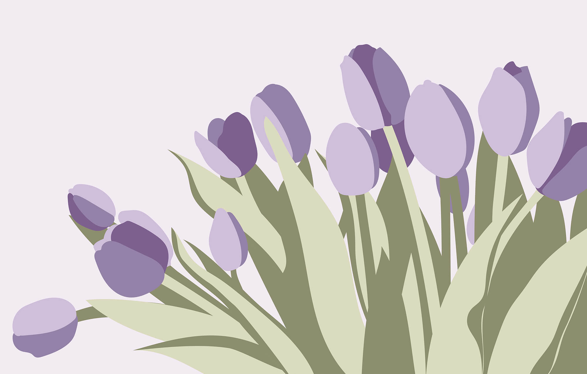 Bunch of purple tulips