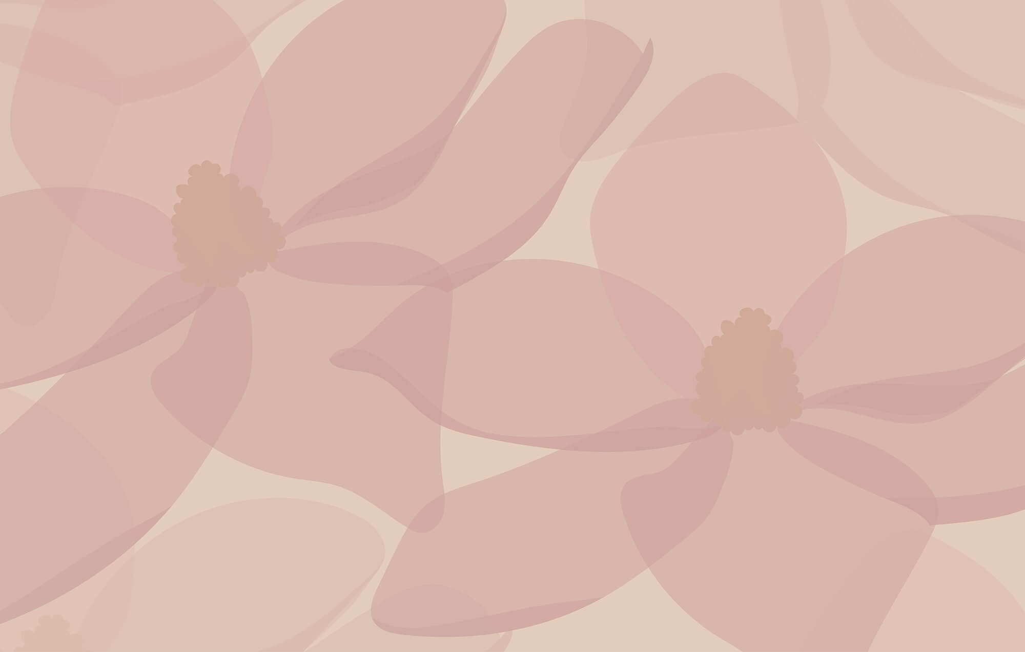 Soft petals in gentle hues