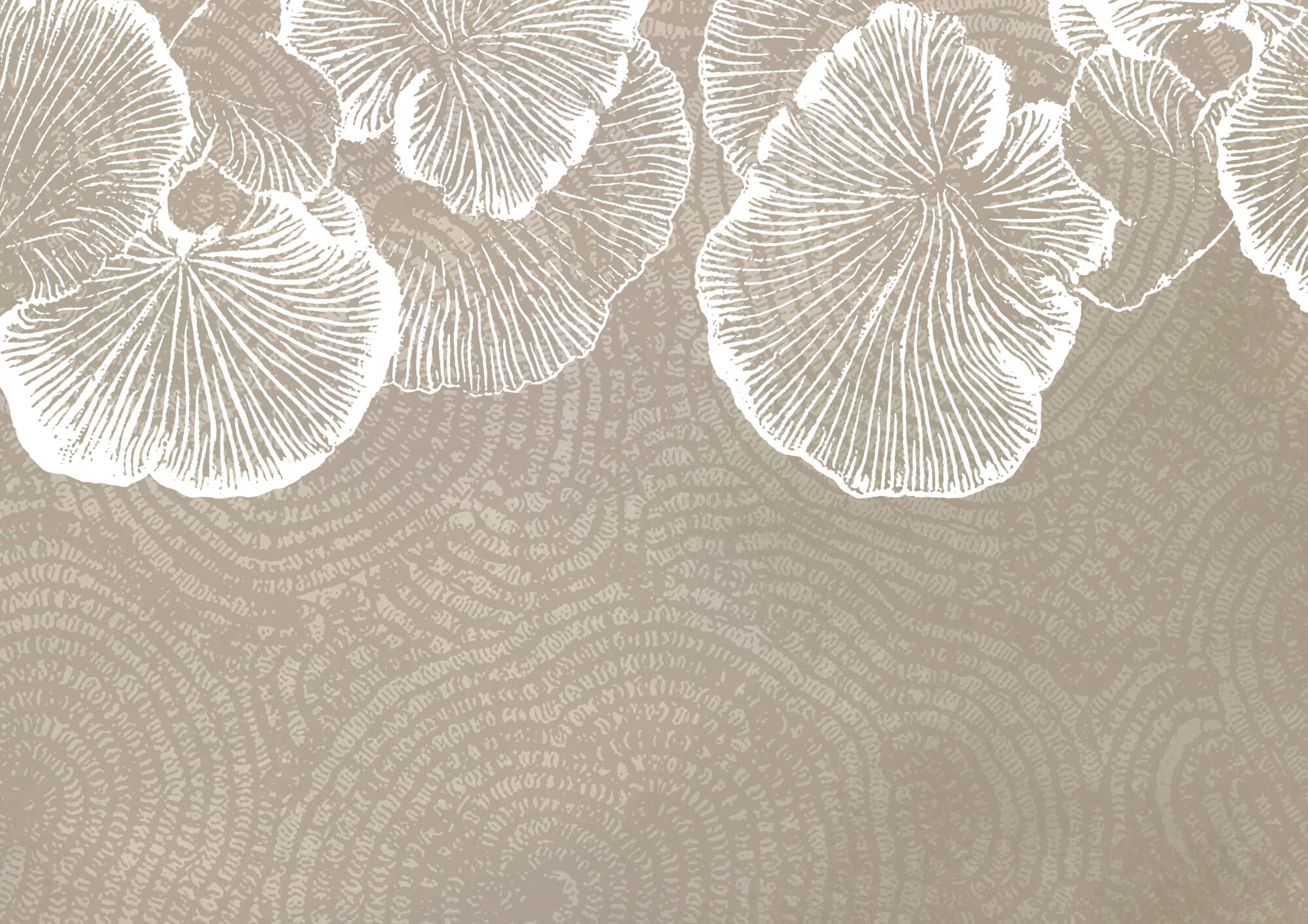 Delicate petals on a soft background