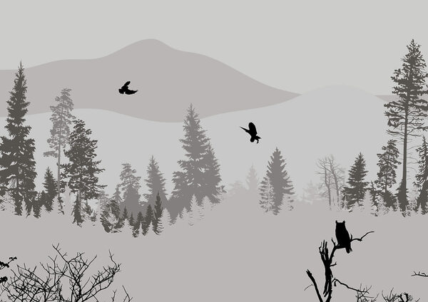 Birds flying over a snowy mountain