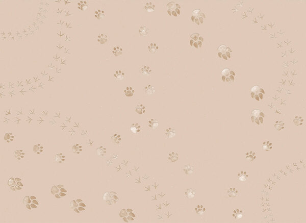 Pattern of paw prints and birds