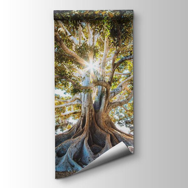 Majestic tree in radiant sunlight