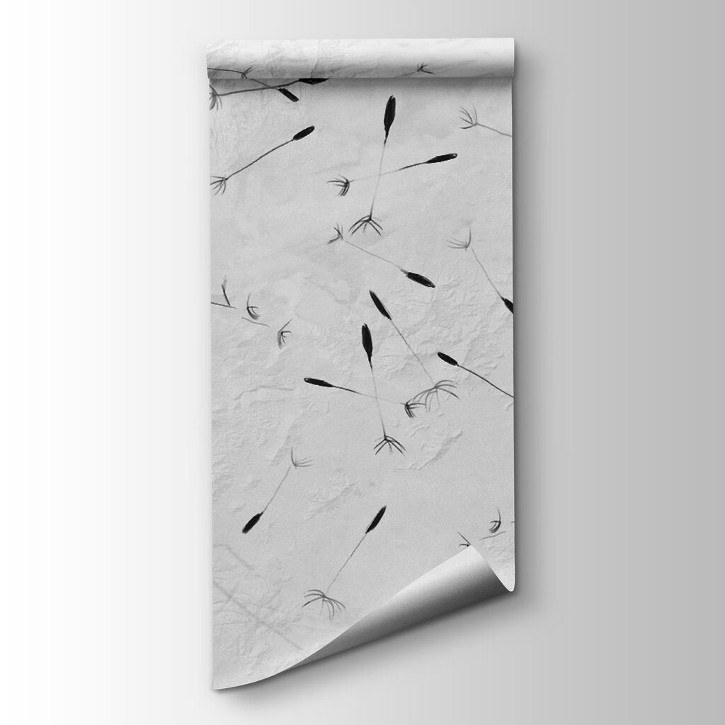 Black and white image of dandelions Black and white image of dandelions