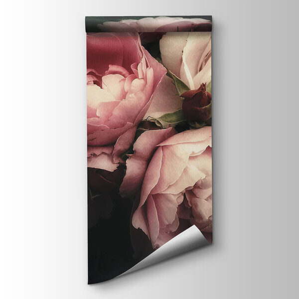 Group of pink and white roses Group of pink and white roses