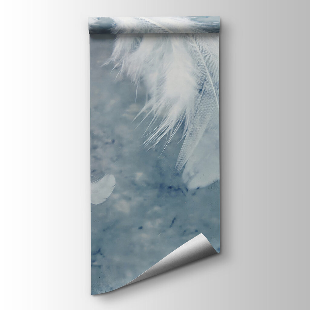 White feathers on a blue surface