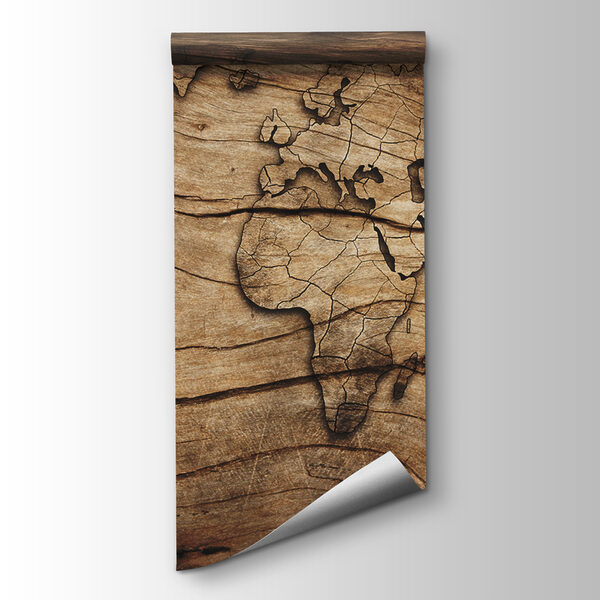 Map of the world on a piece of wood