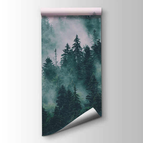 Foggy forest with trees