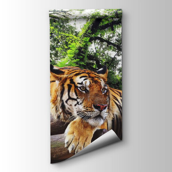 Tiger lying on a log