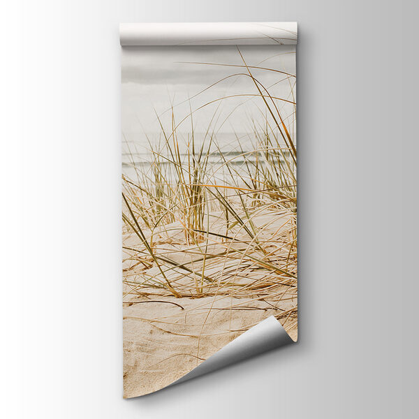 Gentle waves meet coastal grasses