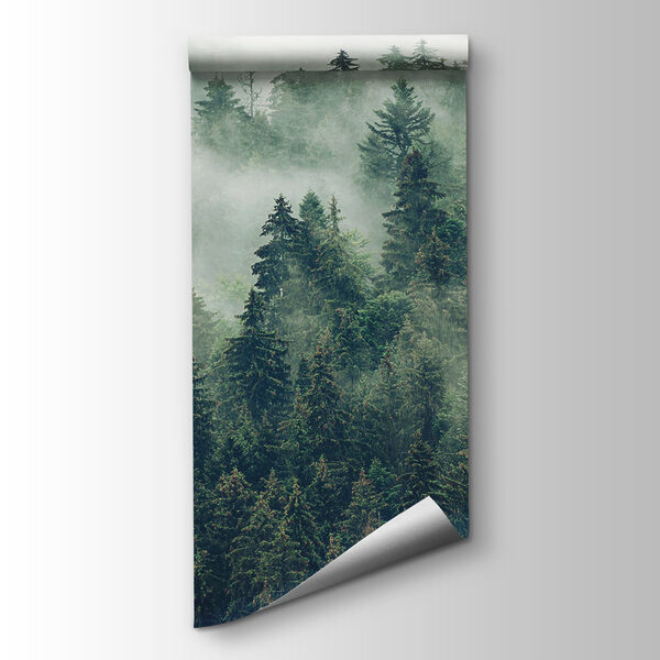 Forest of trees with fog