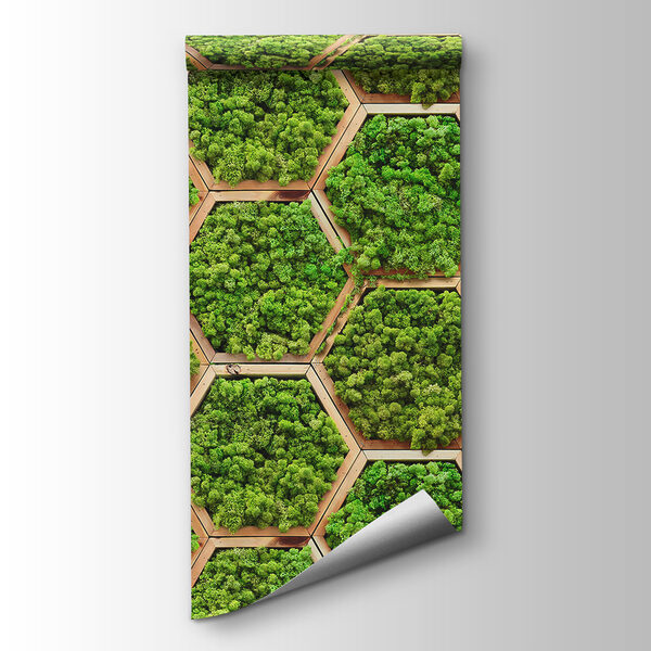 Wall of plants in hexagons