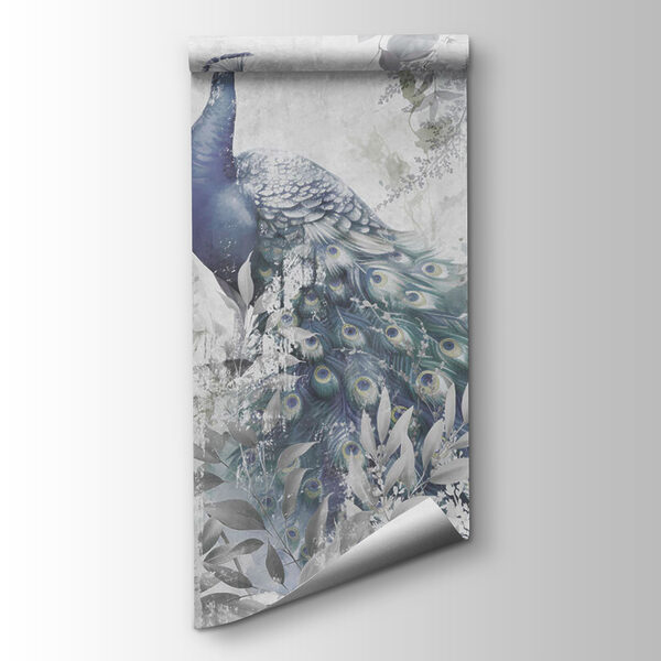 Peacock with feathers on a white background Peacock with feathers on a white background