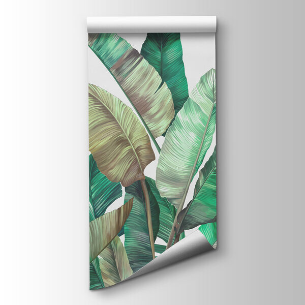 A group of tropical plants