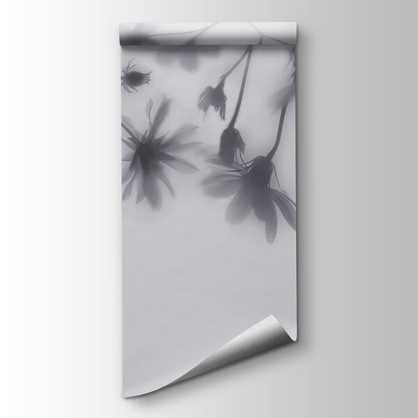 Group of flowers on a white background