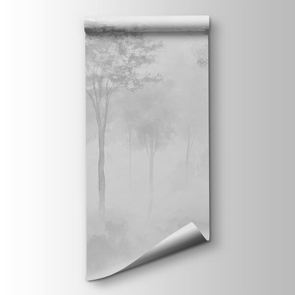 Group of trees in a foggy forest Group of trees in a foggy forest