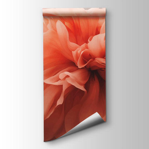 Close up of a flower Close up of a flower