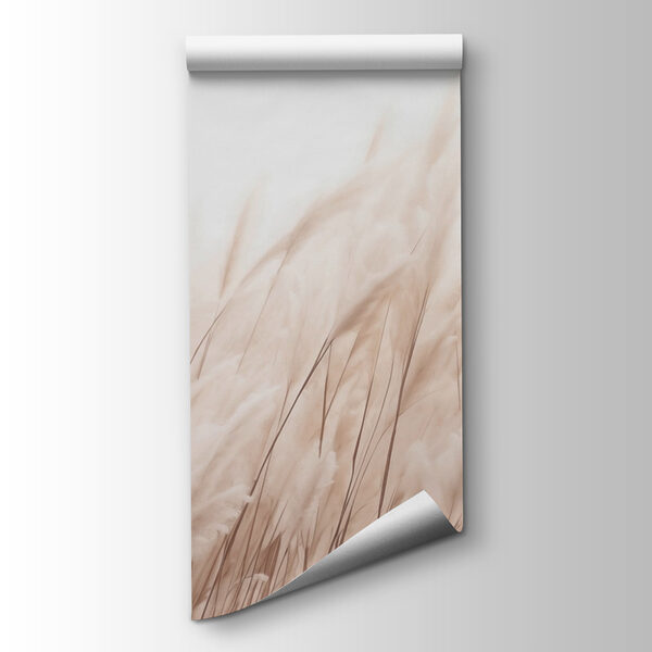 Soft grasses in gentle sunlight Soft grasses in gentle sunlight