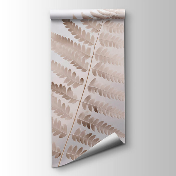 Delicate fern in soft light Delicate fern in soft light