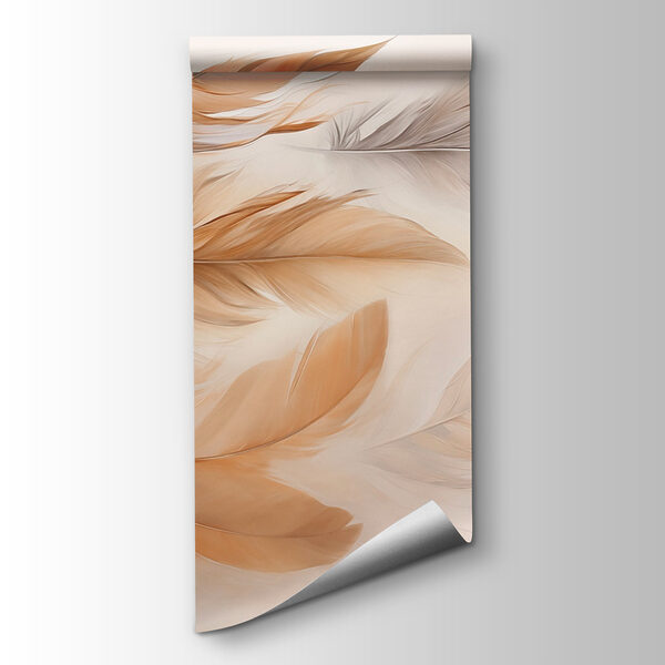 Group of feathers in different colors Group of feathers in different colors