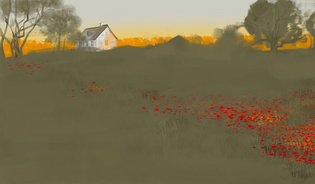 Field of red flowers with a house in the background Field of red flowers with a house in the background