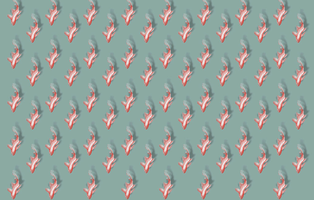 Pattern of fish on a blue background Pattern of fish on a blue background