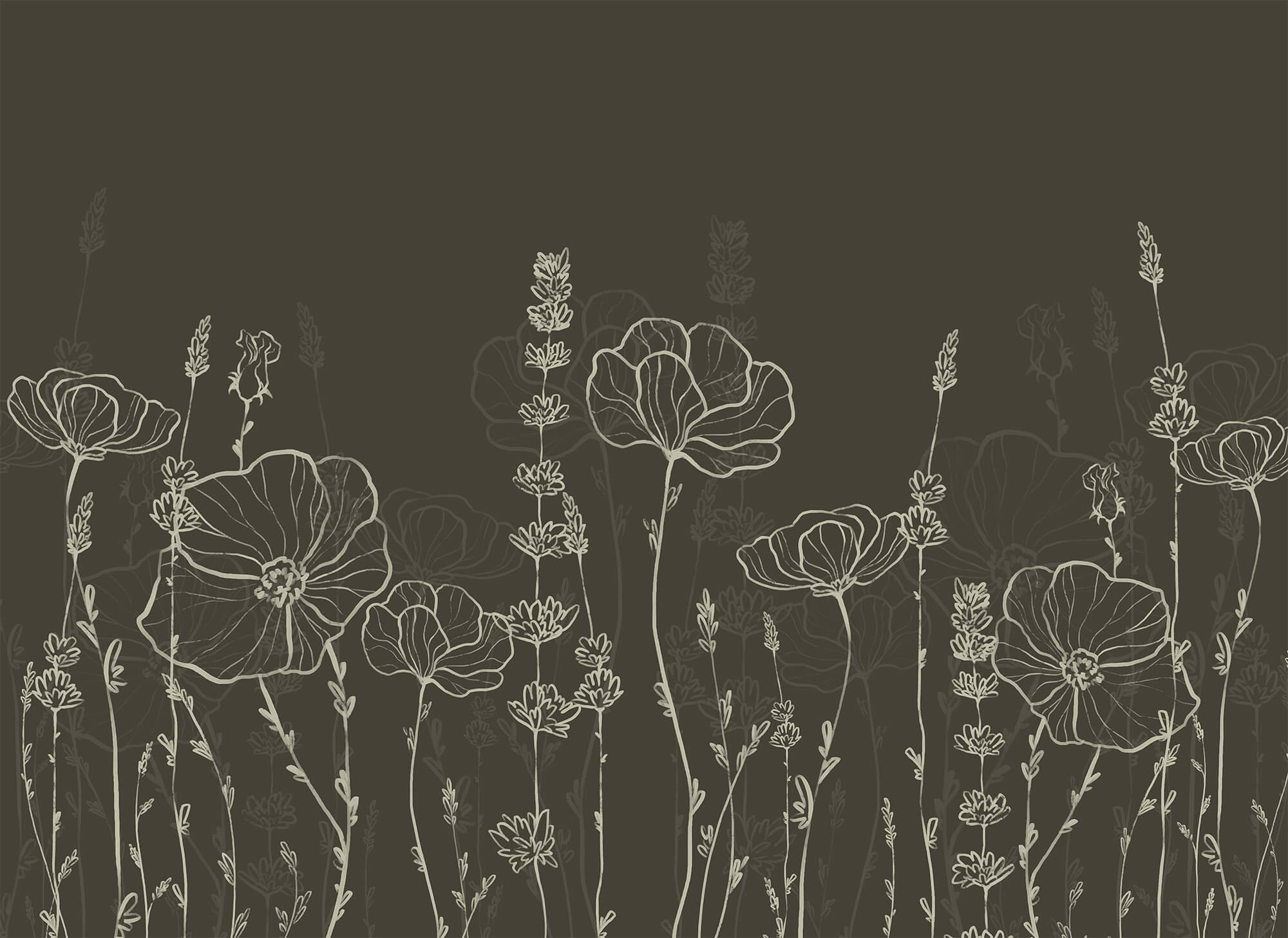 Line of flowers on a dark background