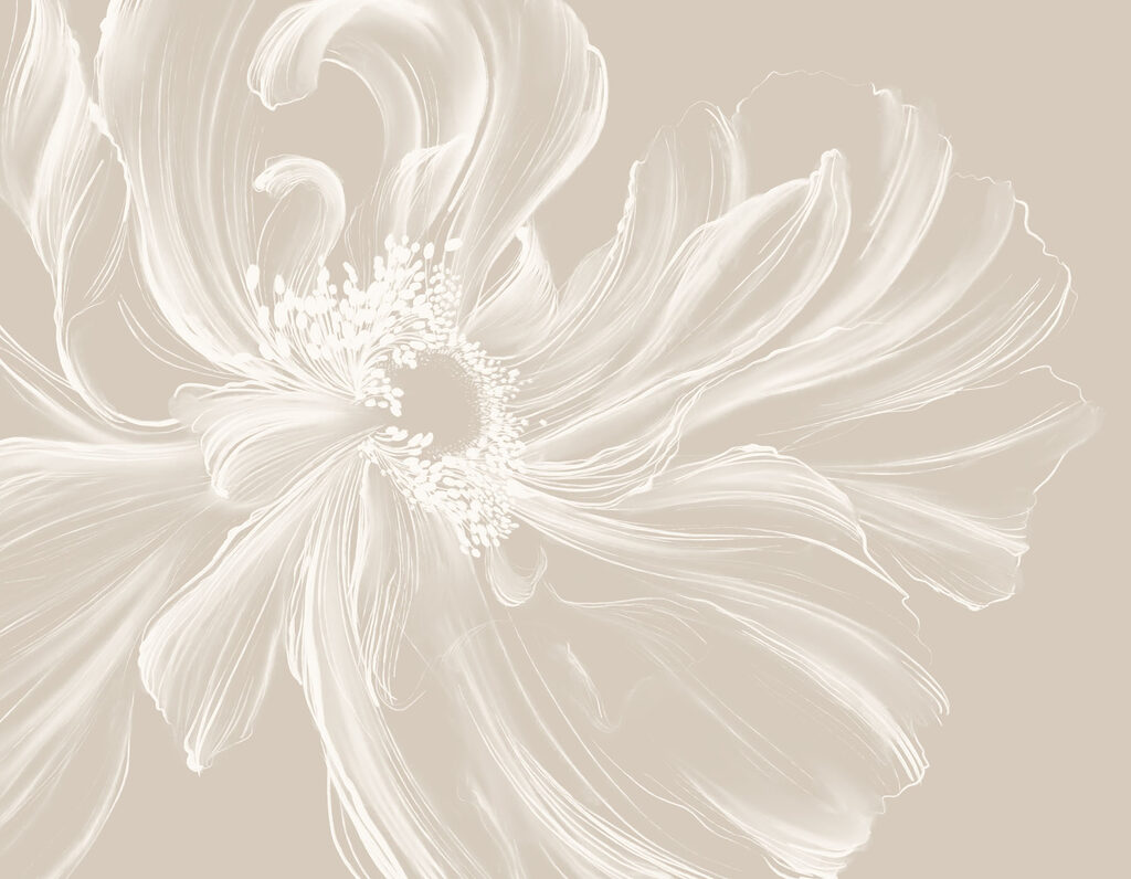 White flower with a swirly center
