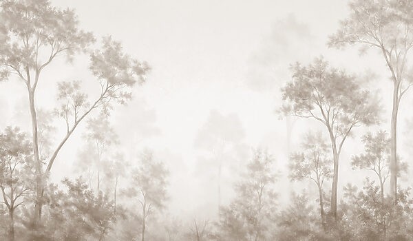 Foggy forest with trees Foggy forest with trees
