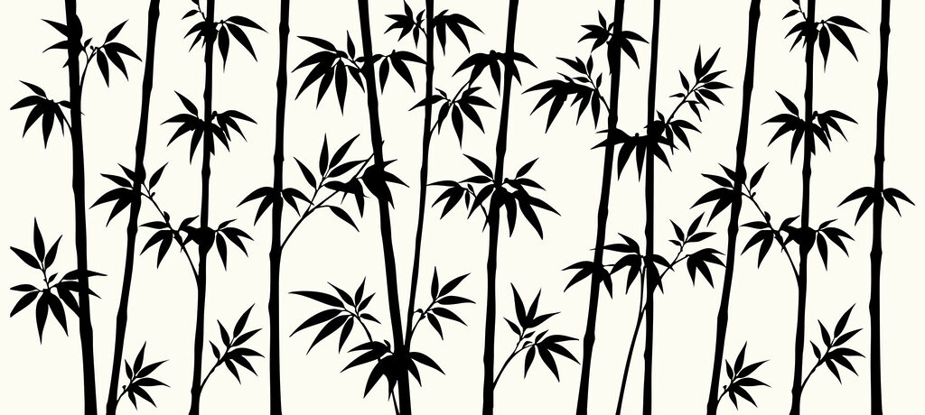 Silhouette of bamboo trees