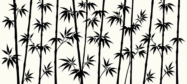 Silhouette of bamboo trees