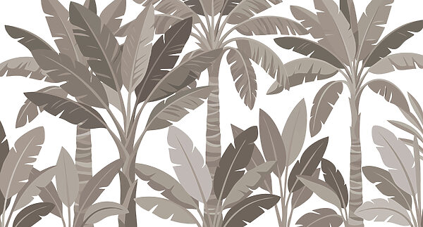 Group of palm trees