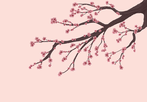 Tree branch with pink flowers Tree branch with pink flowers