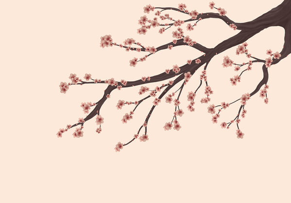 Tree branch with pink flowers