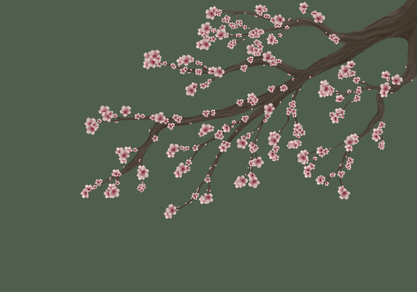 Tree branch with pink flowers