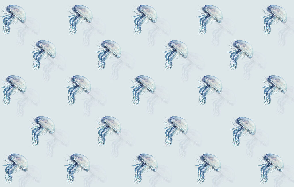 Pattern of jellyfish