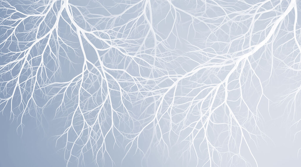 White branches on a blue background White branches on a blue background