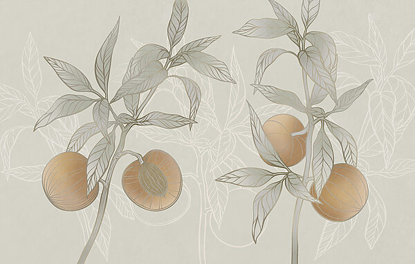 Drawing of a plant with leaves and fruit Drawing of a plant with leaves and fruit