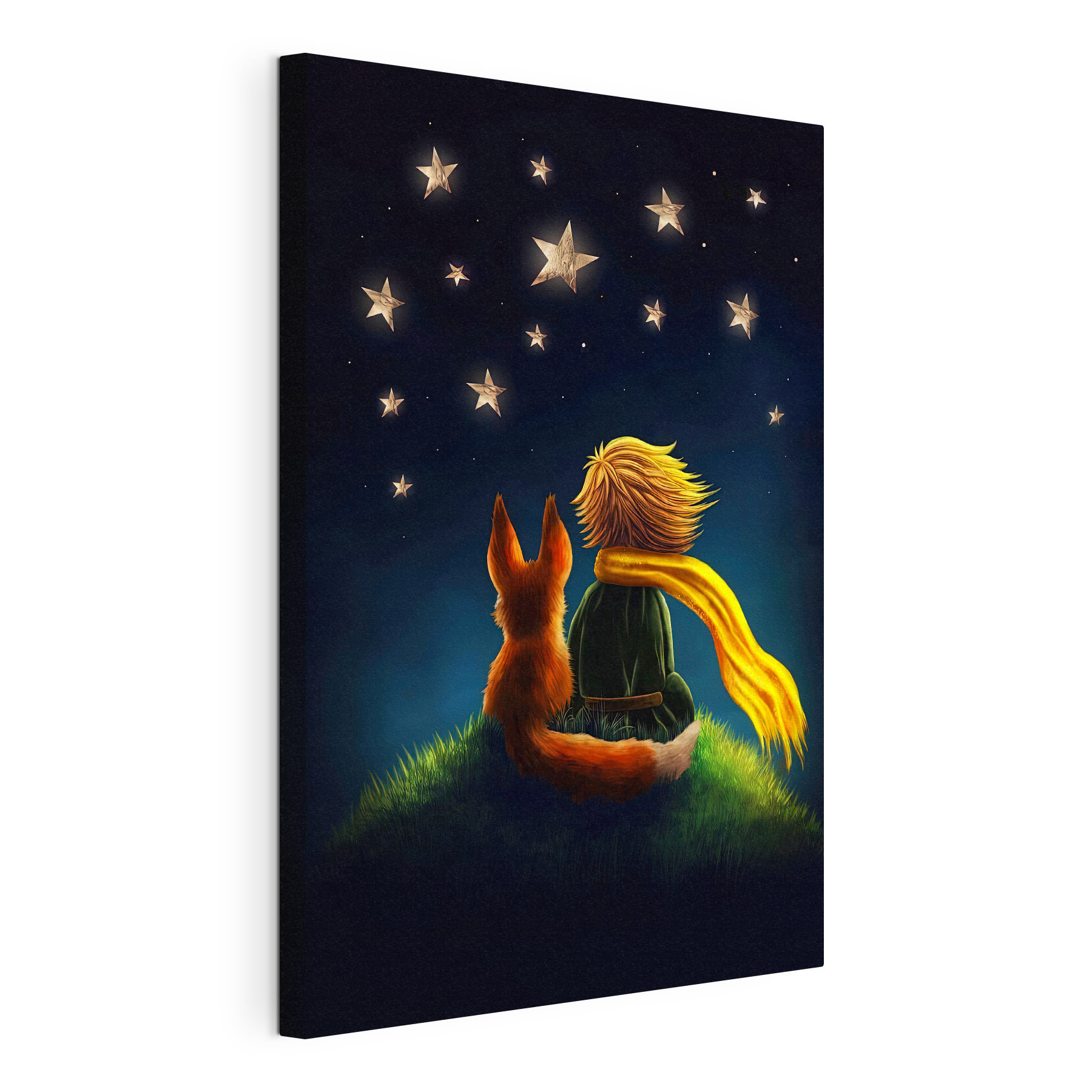A fox and a little prince looking at stars